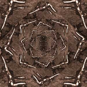 nocturnal emissions - music for butoh