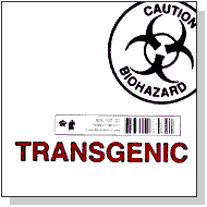 transgenic